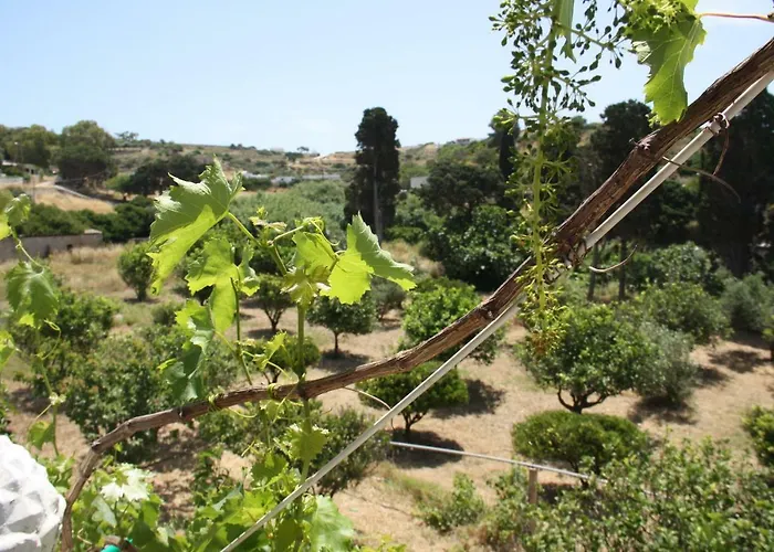 Kalypso * 利普西島