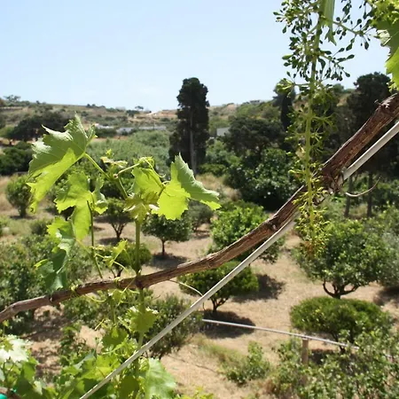 Kalypso * Leipsoí